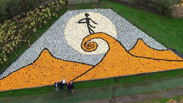 Spook-tacular Tim Burton-inspired pumpkin and squash mosaic sets world record